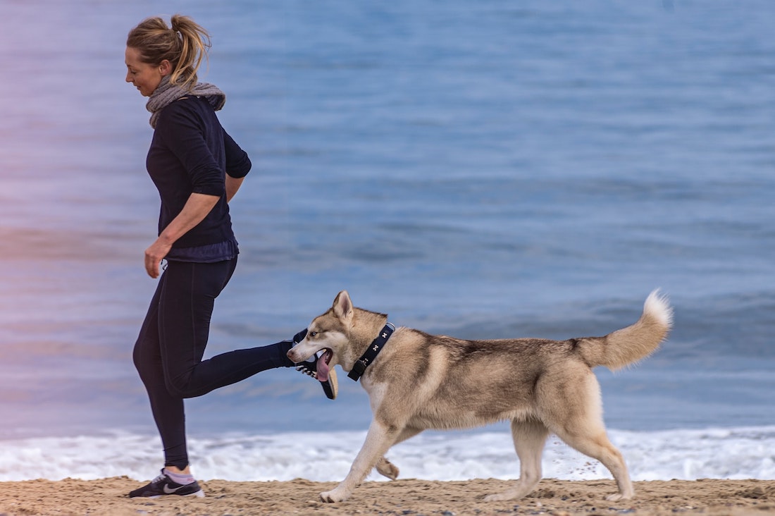 Drie redenen om te sporten met je hond