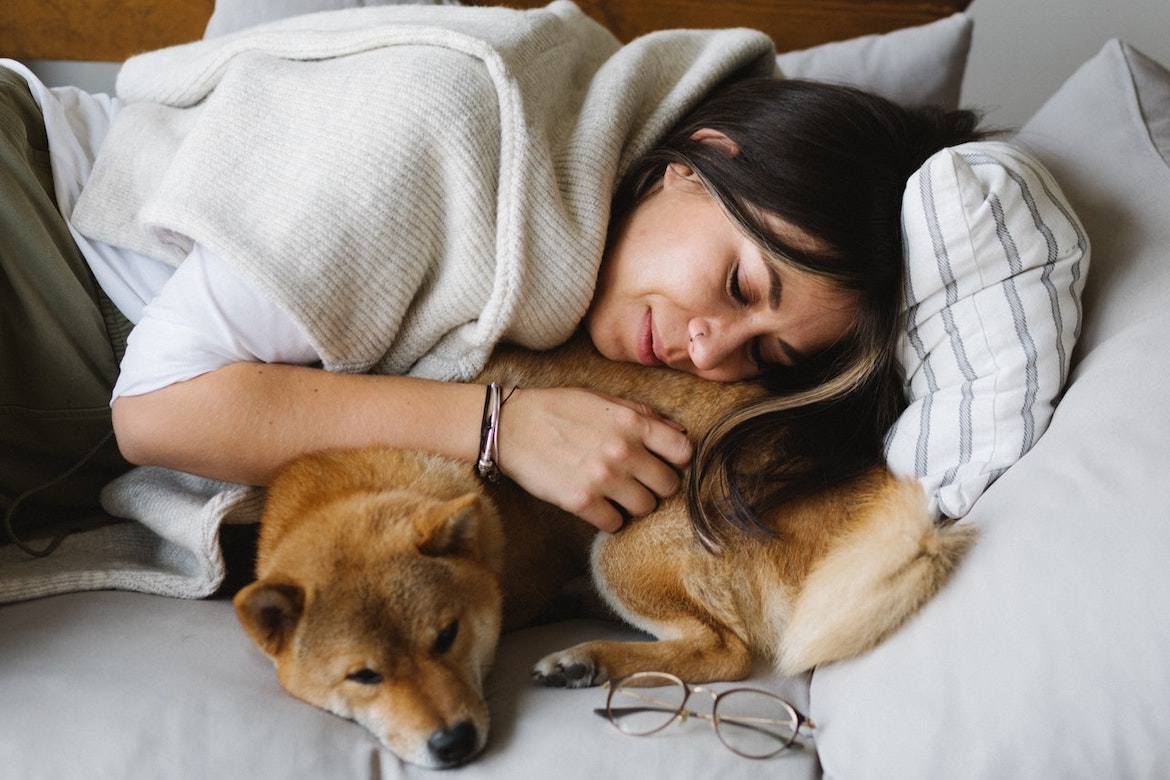 Langdurige stress bij honden in verband met de relatie tussen eigenaar en hond