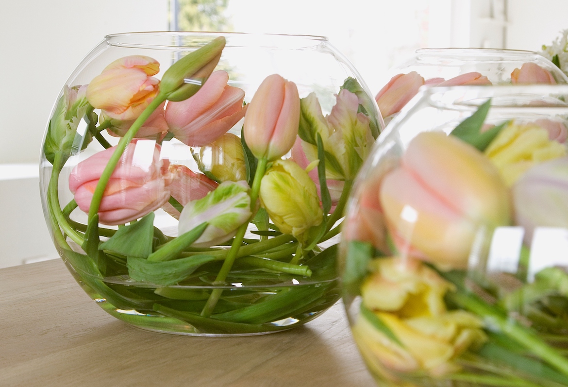Tips voor het stylen van tulpen voor Pasen