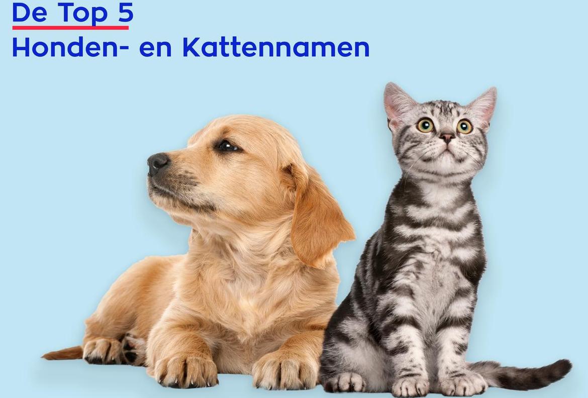 De Honden- en Kattennamen Top 5