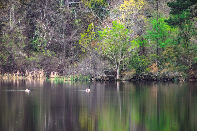 Tyler State Park