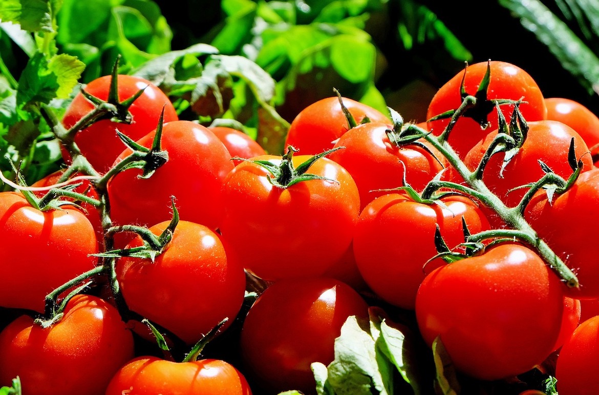 20 weetjes over tomaten