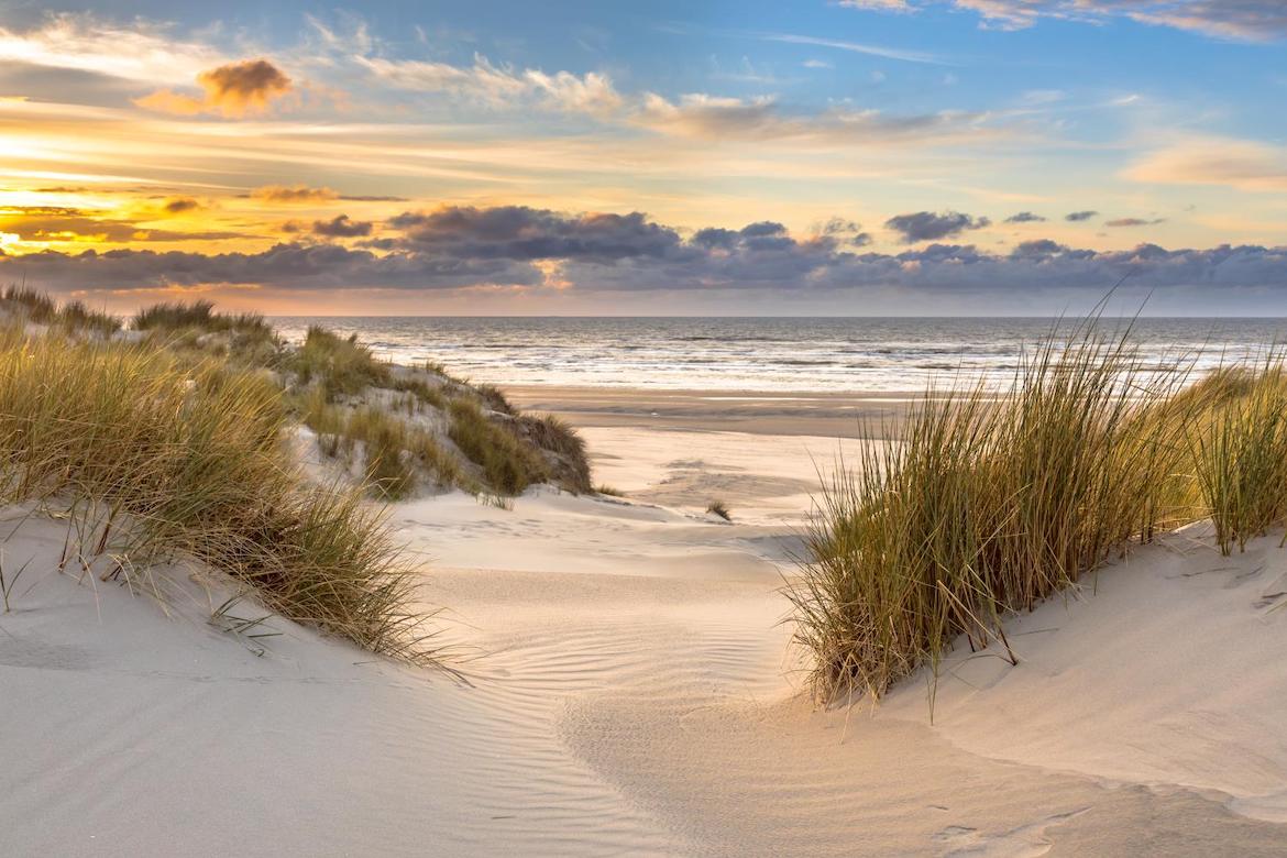 Vijf tips voor een mooie zomer op Texel