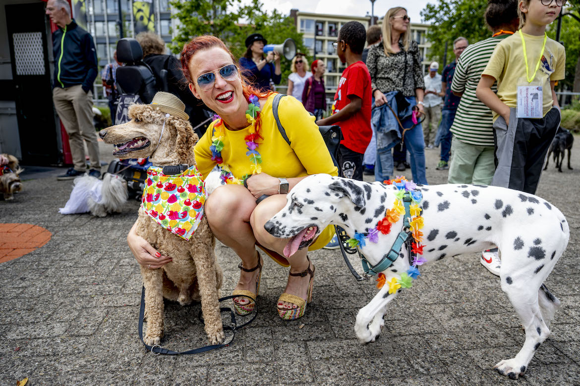 Dog Parade 010 komt terug naar het Maritiem Museum