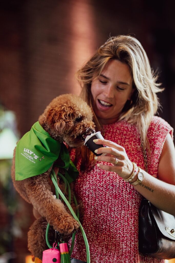 Foodtruckfestival voor honden