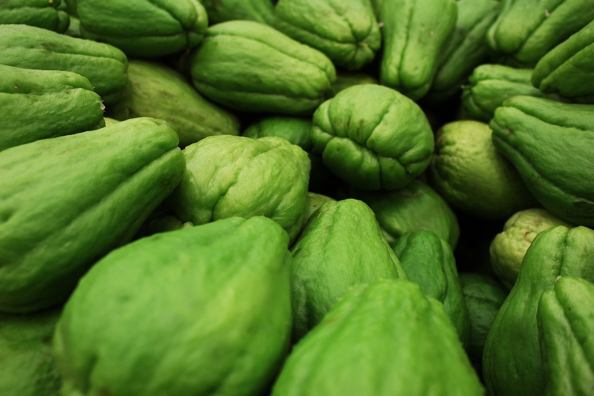 Chayote – Exotisch fruit uit Mexico