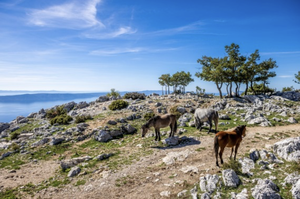 Ontdek de 7 mooiste wandelgebieden in Kroatië