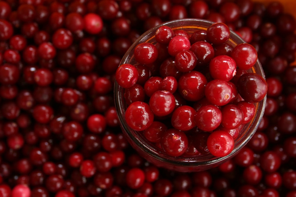 Rode bosbes en cranberry: wat is het verschil?