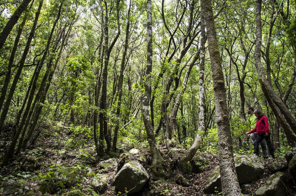 Adembenemende wandelroutes op Tenerife