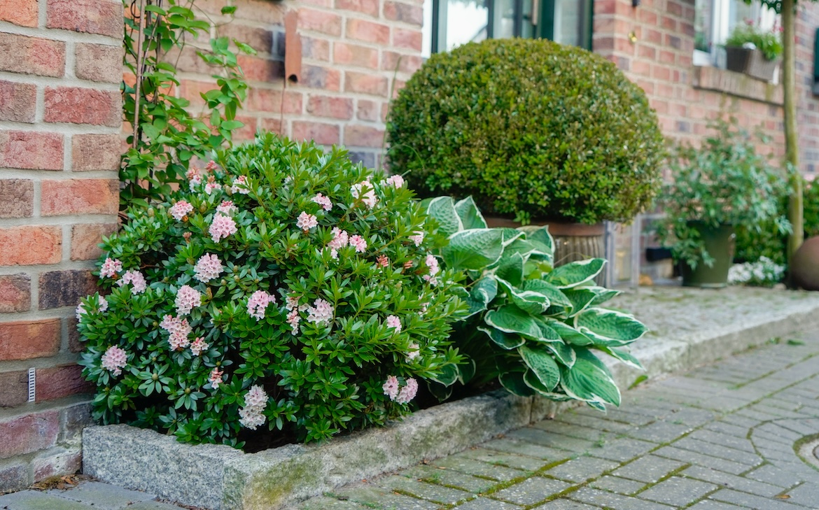 Voor (gevel)tuin, balkon of terras: Bloombux